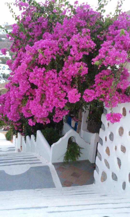 Butterfly View Suites Astypalaia Bagian luar foto