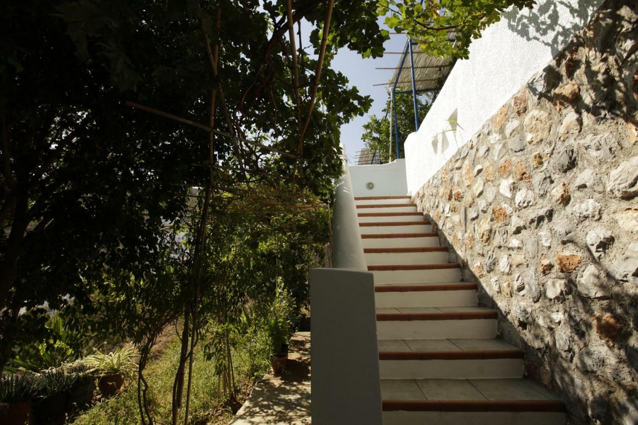 Butterfly View Suites Astypalaia Bagian luar foto